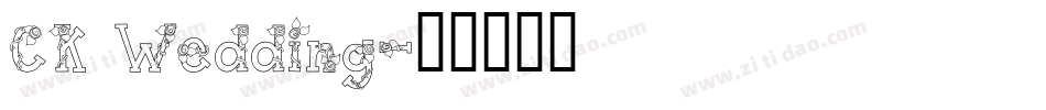 CK Wedding字体转换